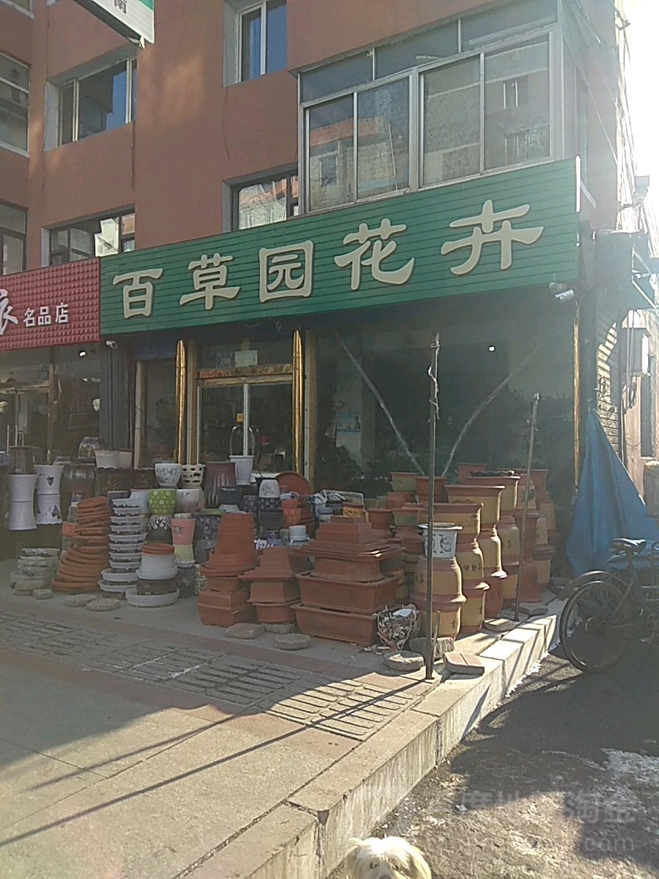 百草园花卉(民主街店)