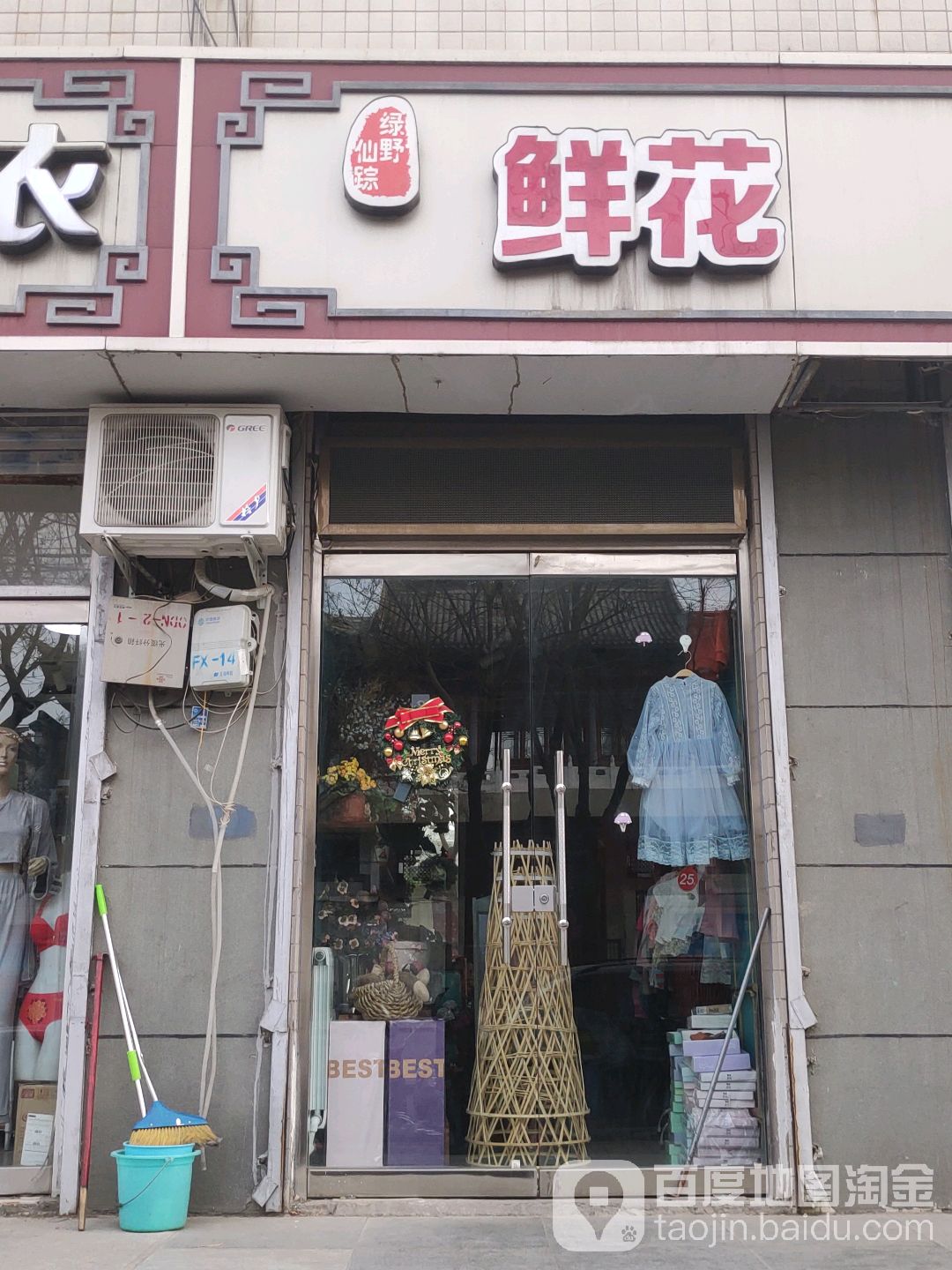 绿野仙踪鲜花