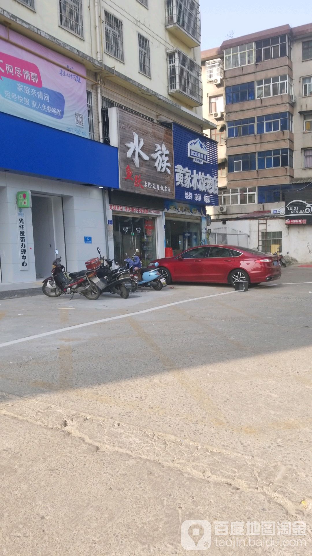 鱼跃水族