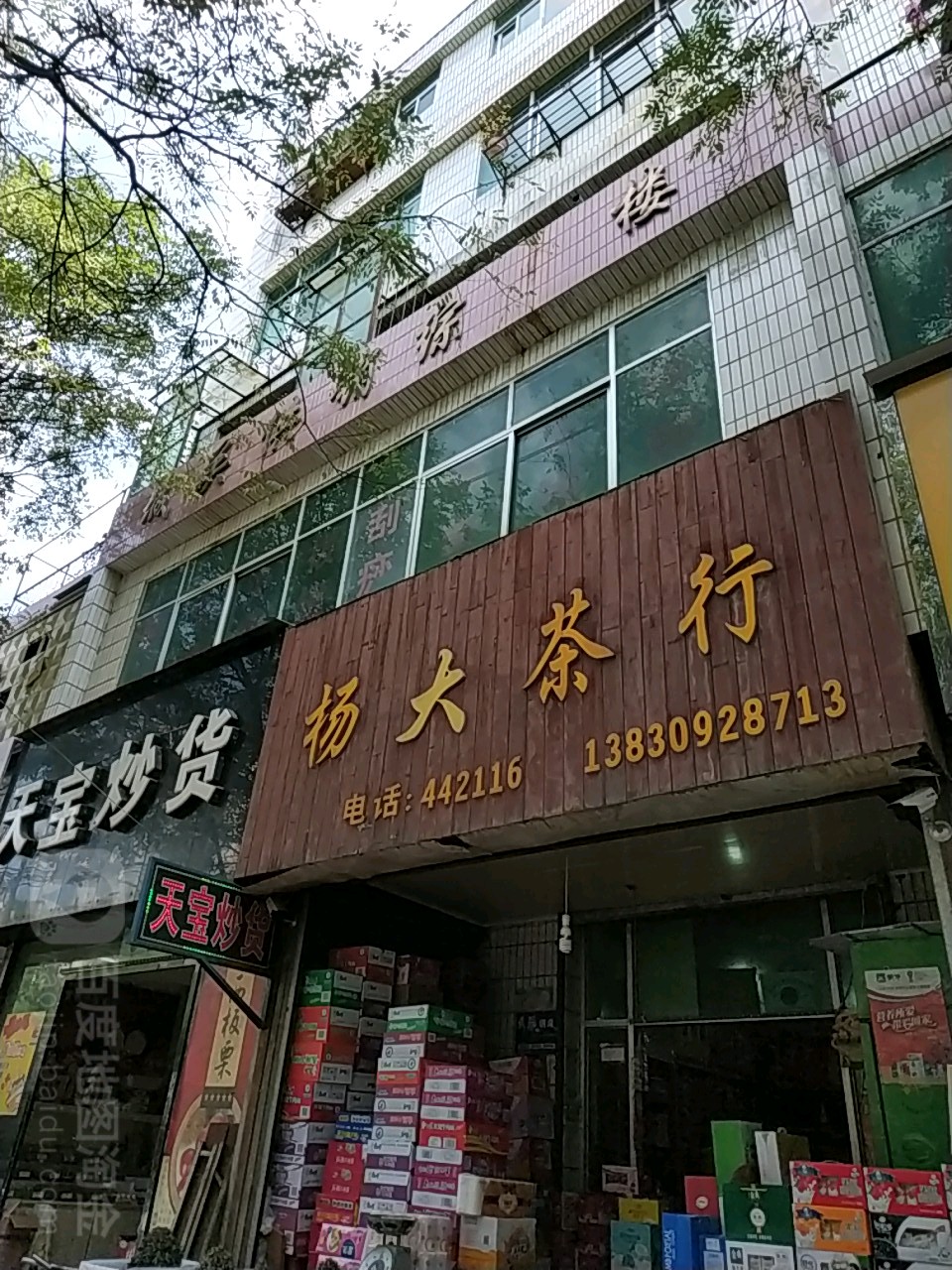 杨大茶行