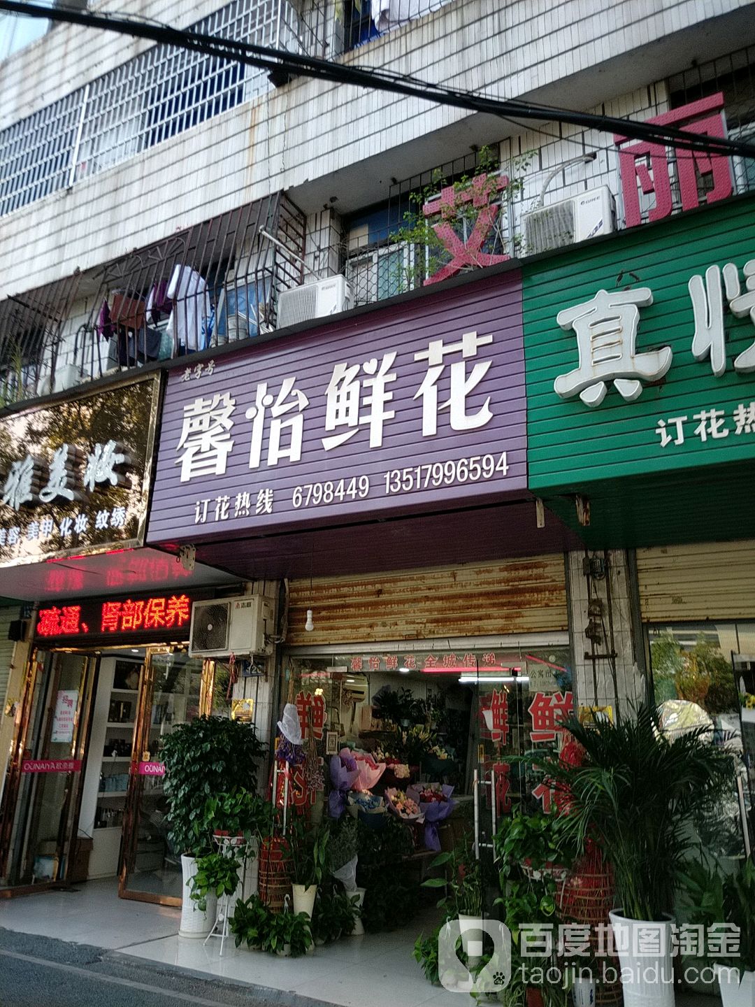 馨怡鲜花