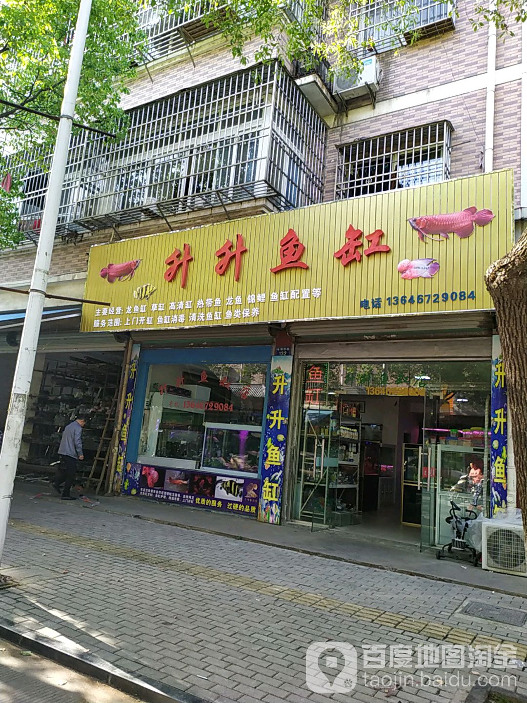 升升鱼缸(咏梅西路店)