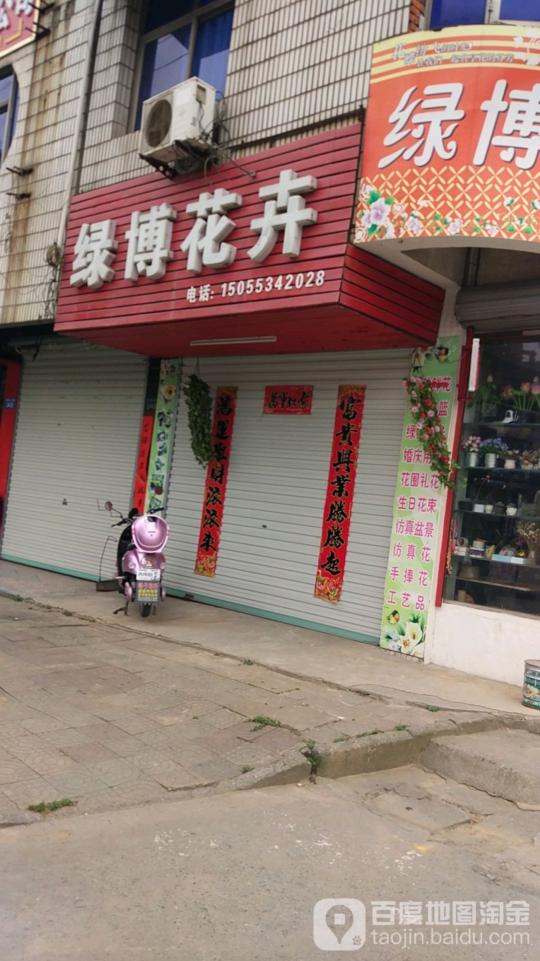绿博花卉