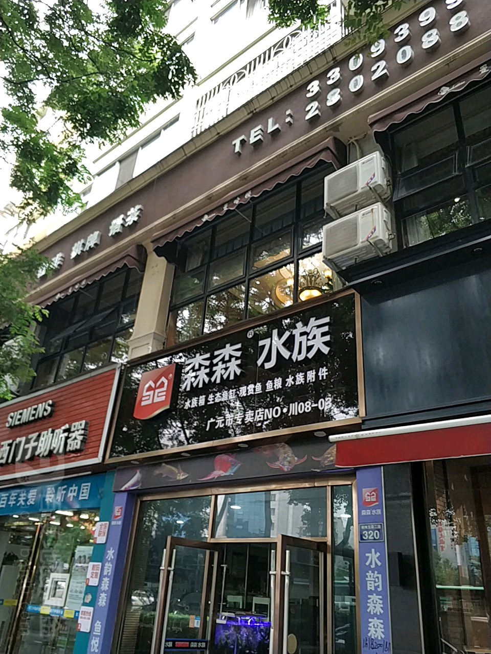 森森四族(广元市专卖店)