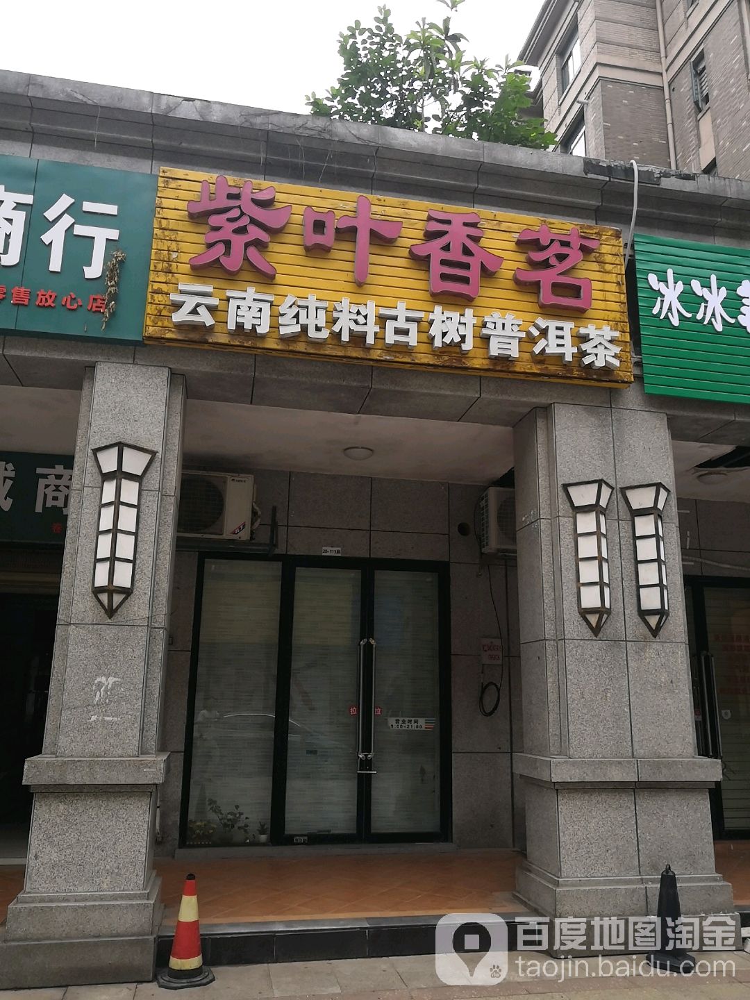 紫叶香茗