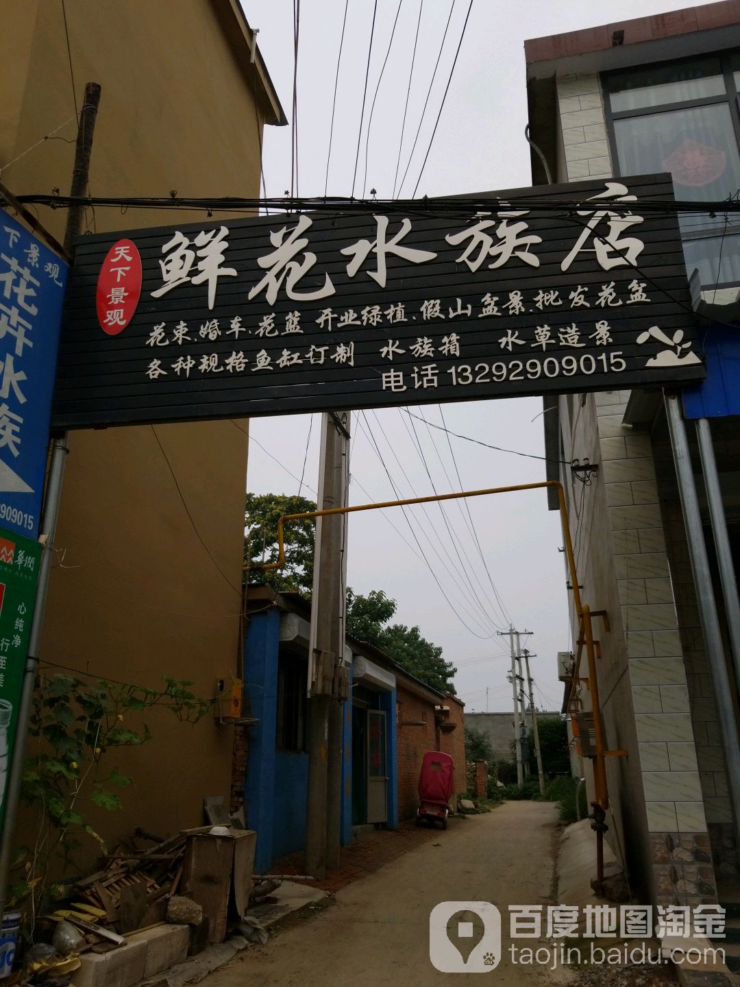 天下景观鲜花水族店