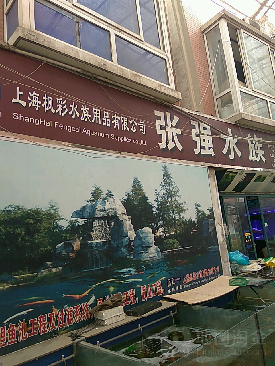 张强水族(上海岚灵花鸟市场店)