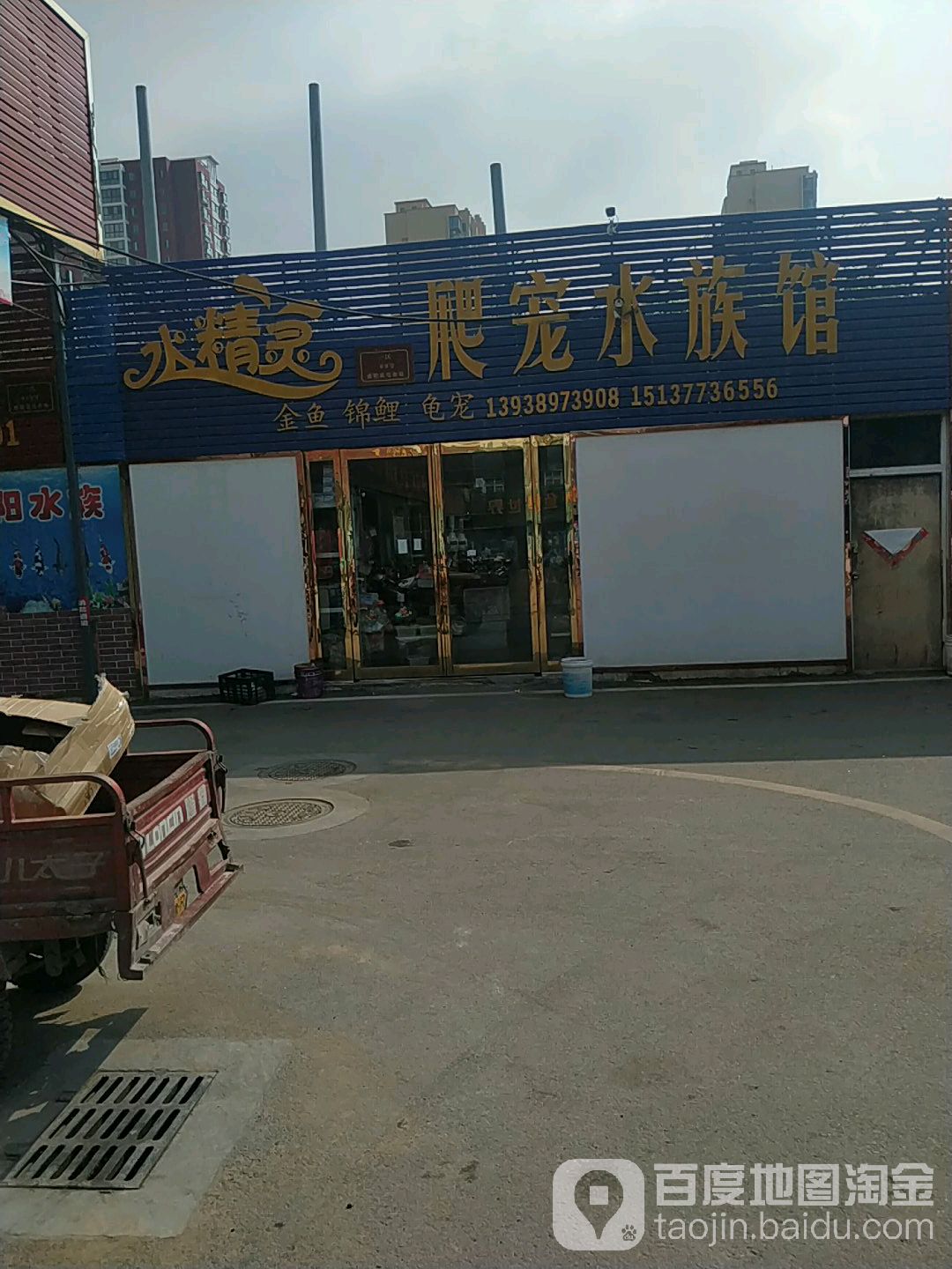 水精灵爬宠水族馆