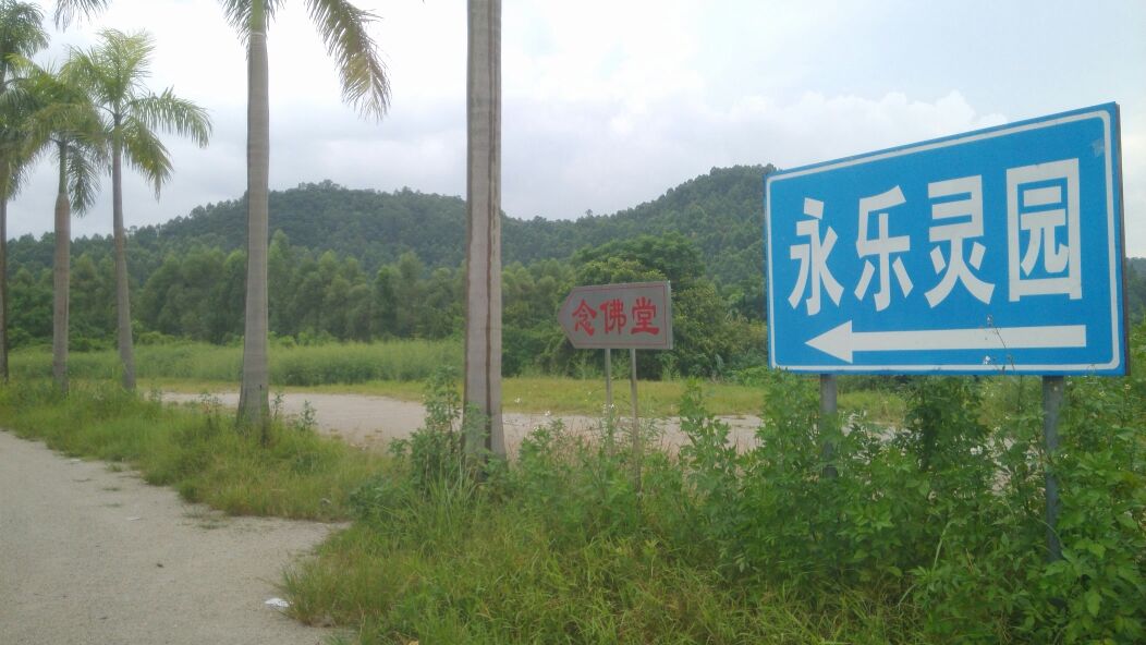 地址(位置,怎么去,怎么走 广东省广州市番禺区沙湾镇滴水岩森林