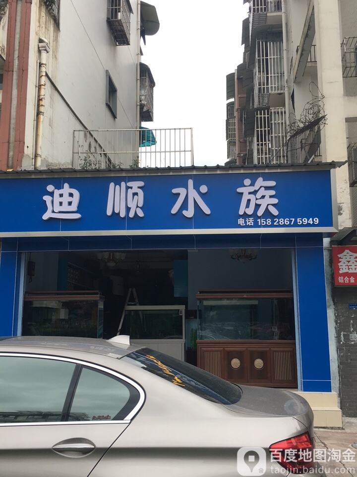 迪顺水族(都江堰专卖店)