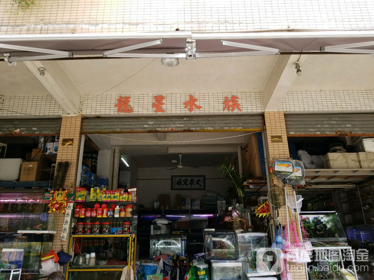 龙星水族(东湖府邸店)