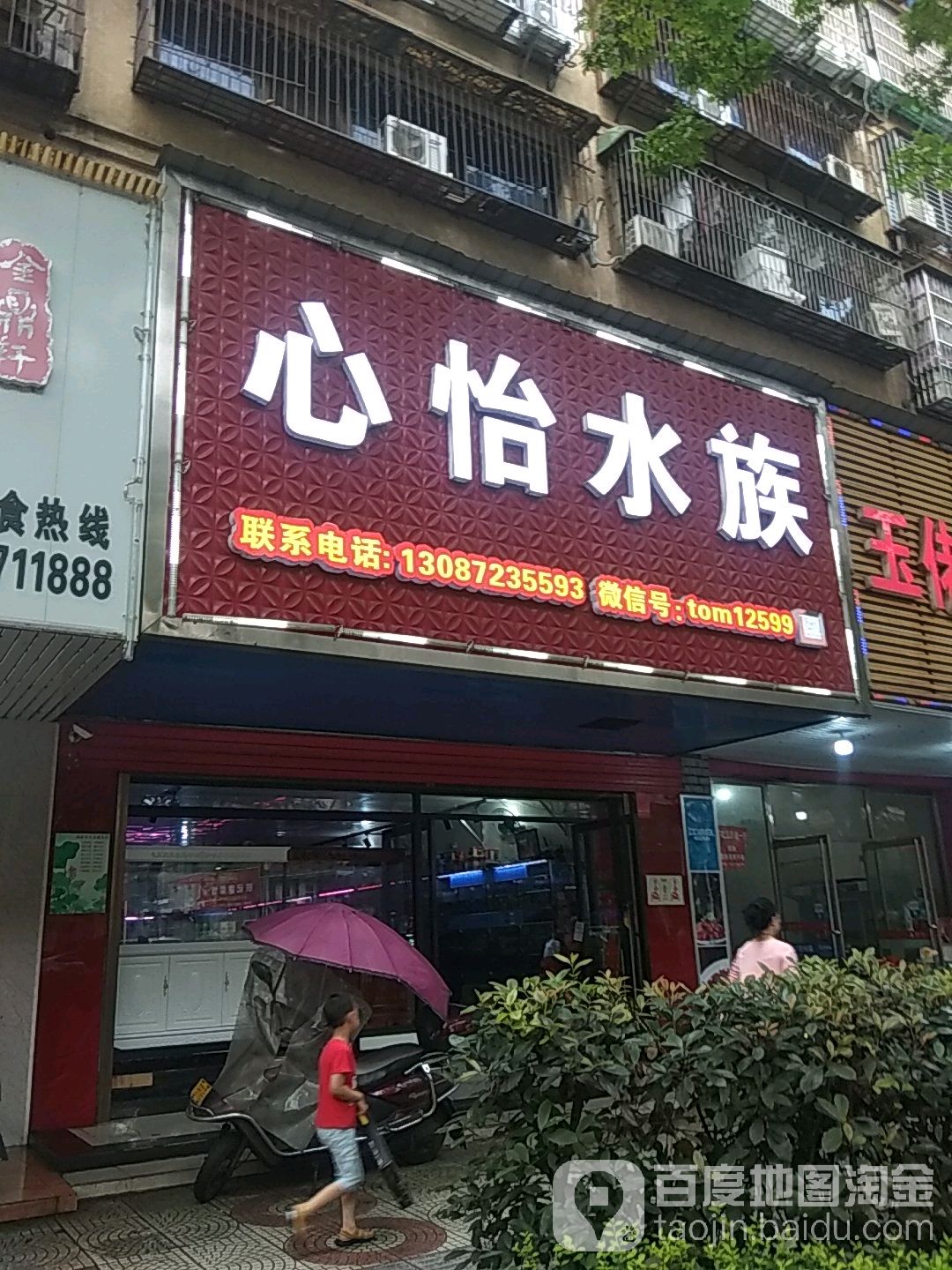 有心怡水族
