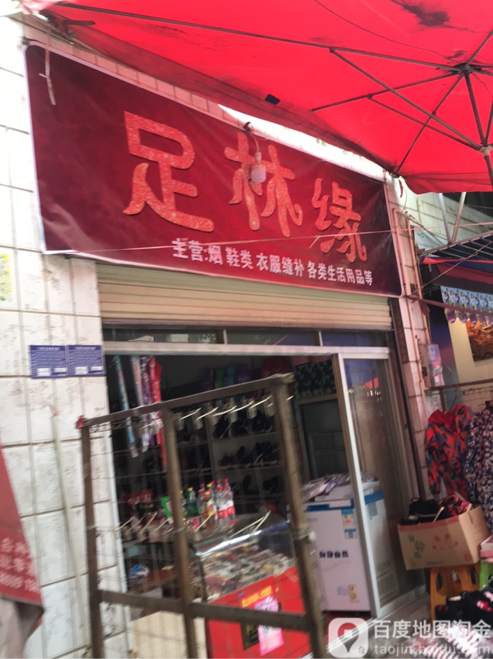 足林缘