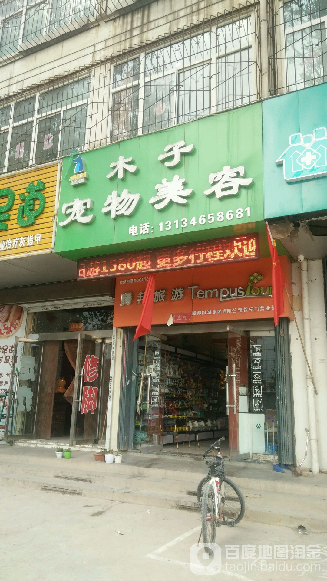 木子宠物店美容