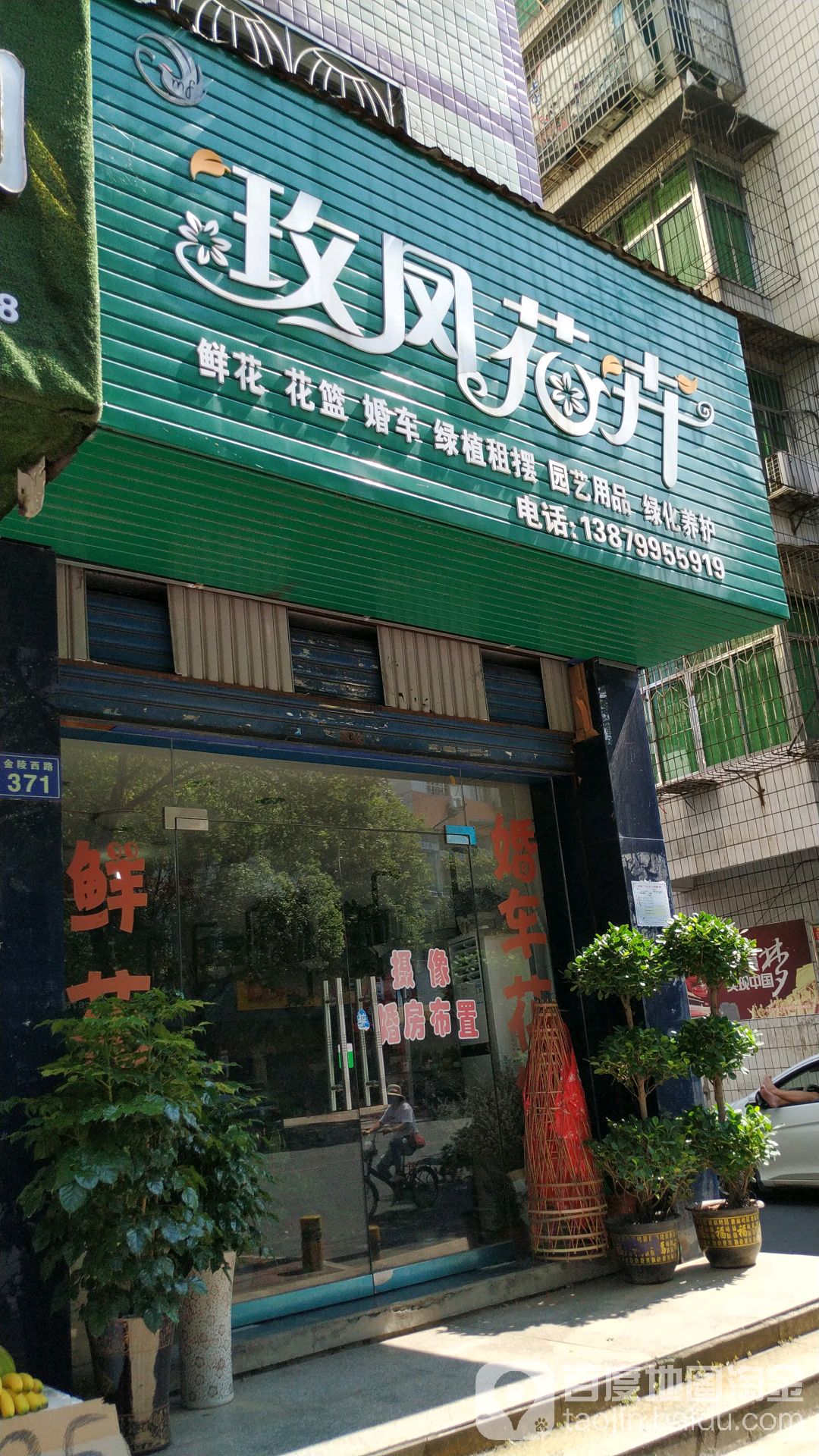 玫凤花卉