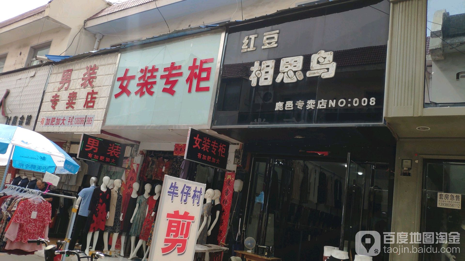 鹿邑县红豆相思鸟(鹿邑专卖店)