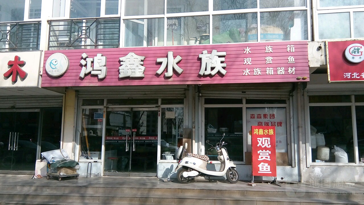 鸿鑫水族