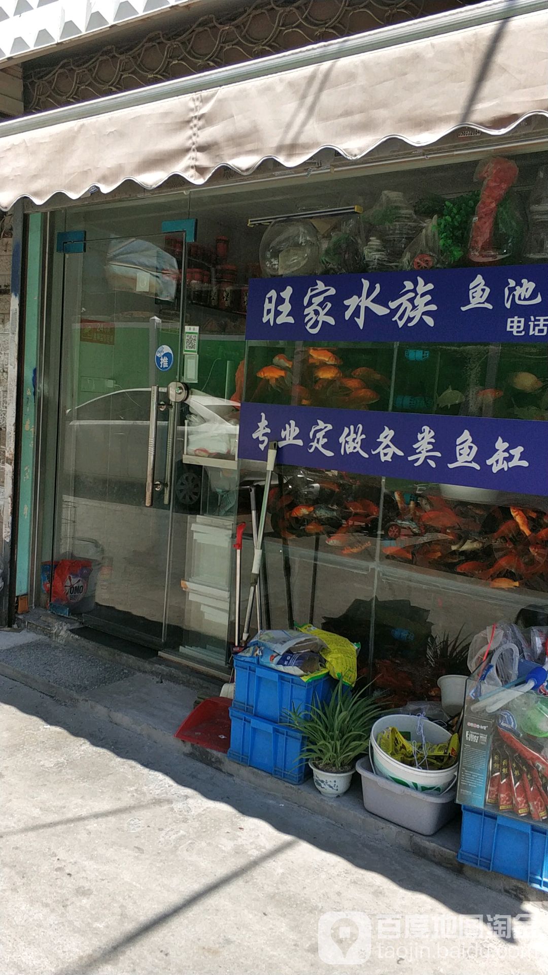 旺家水族(小西门横街店)