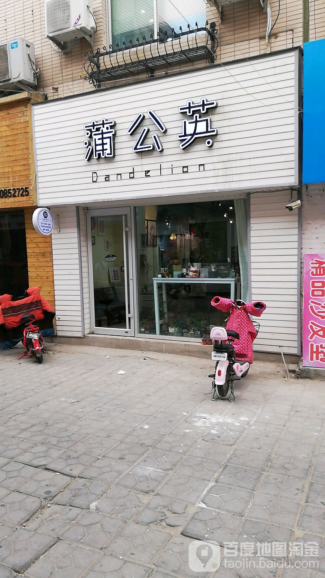 蒲公英(民生胡同店)