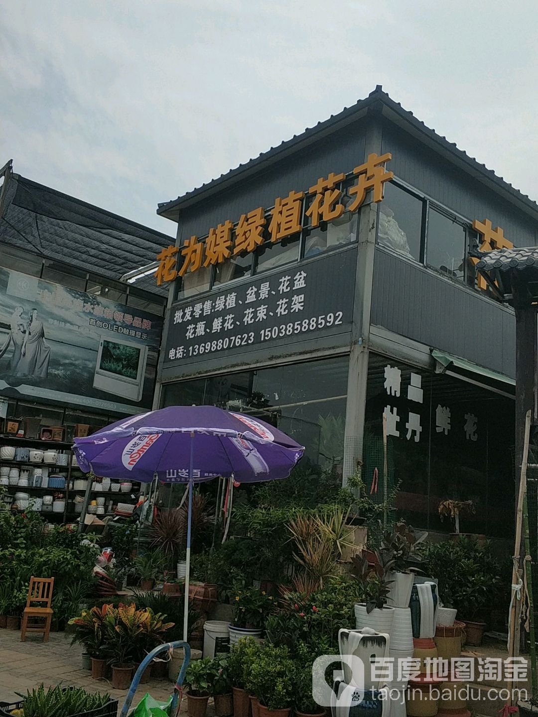 花为媒绿植花卉(滨河南路店)