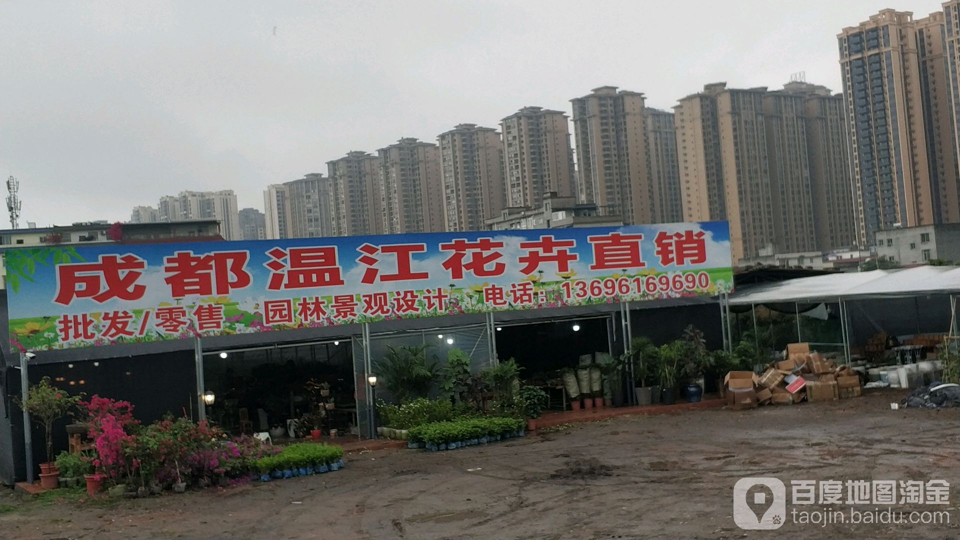 成都温江花卉直销
