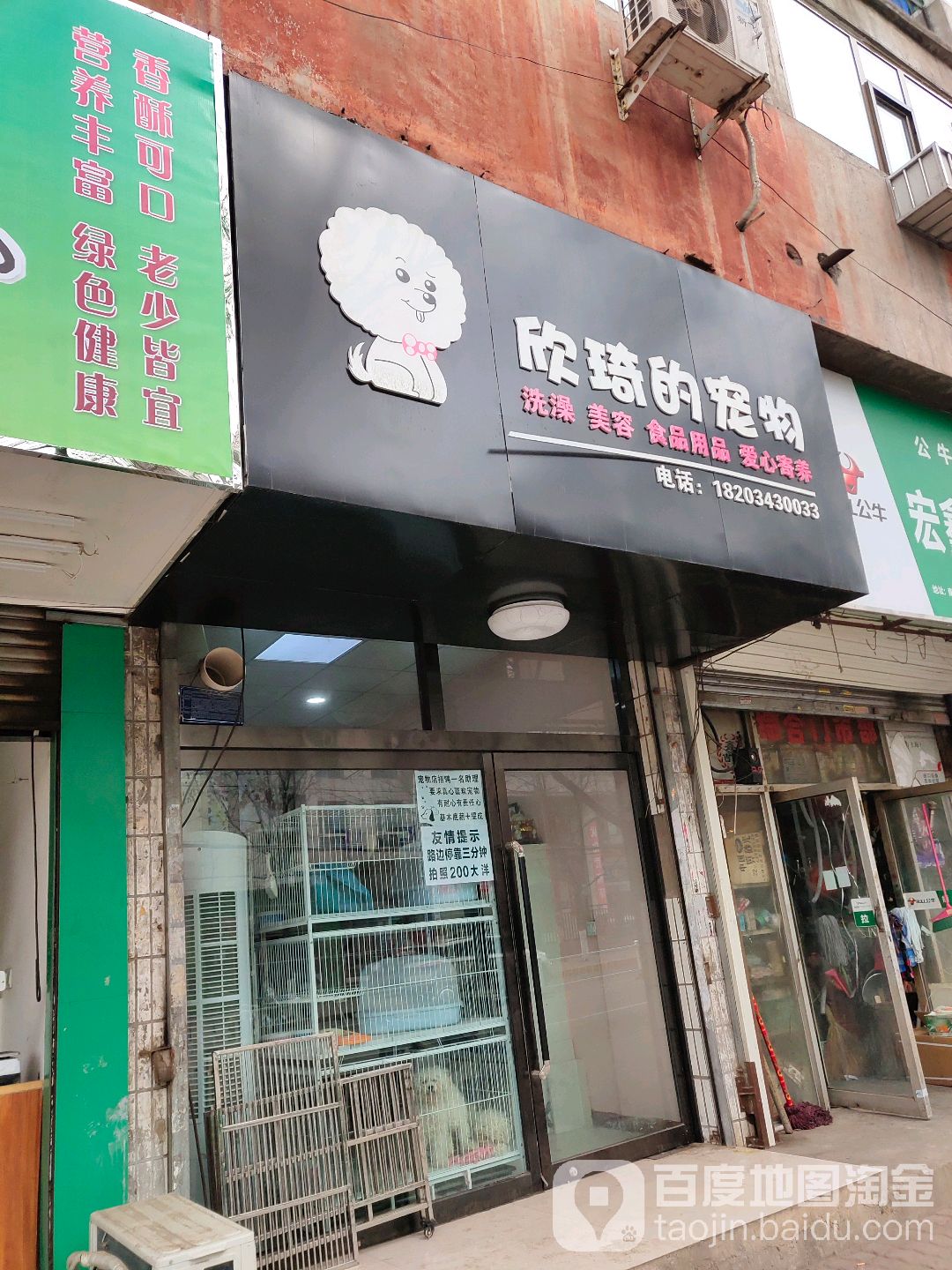 欣琦的宠物