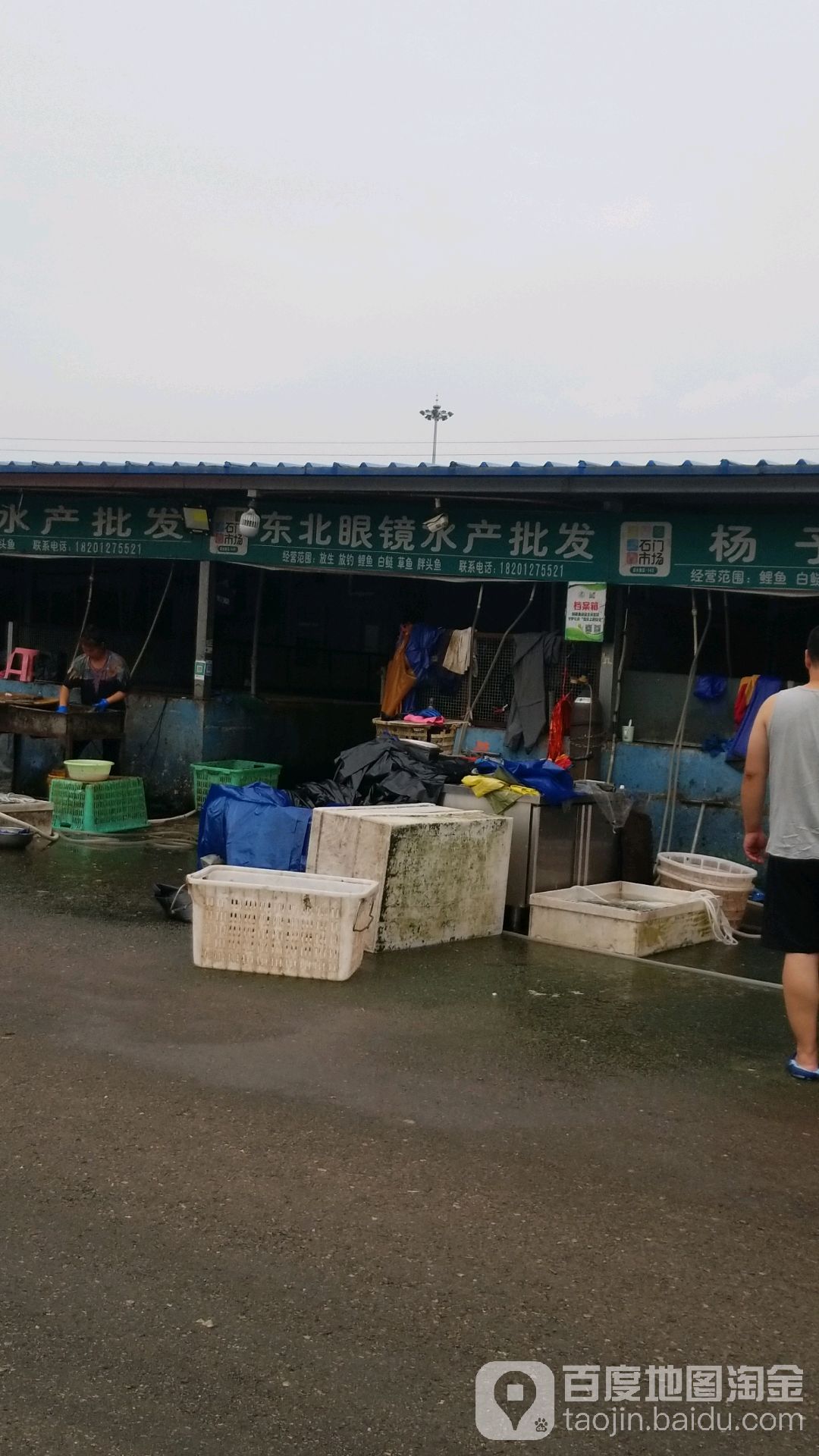 东北眼镜水产批fa