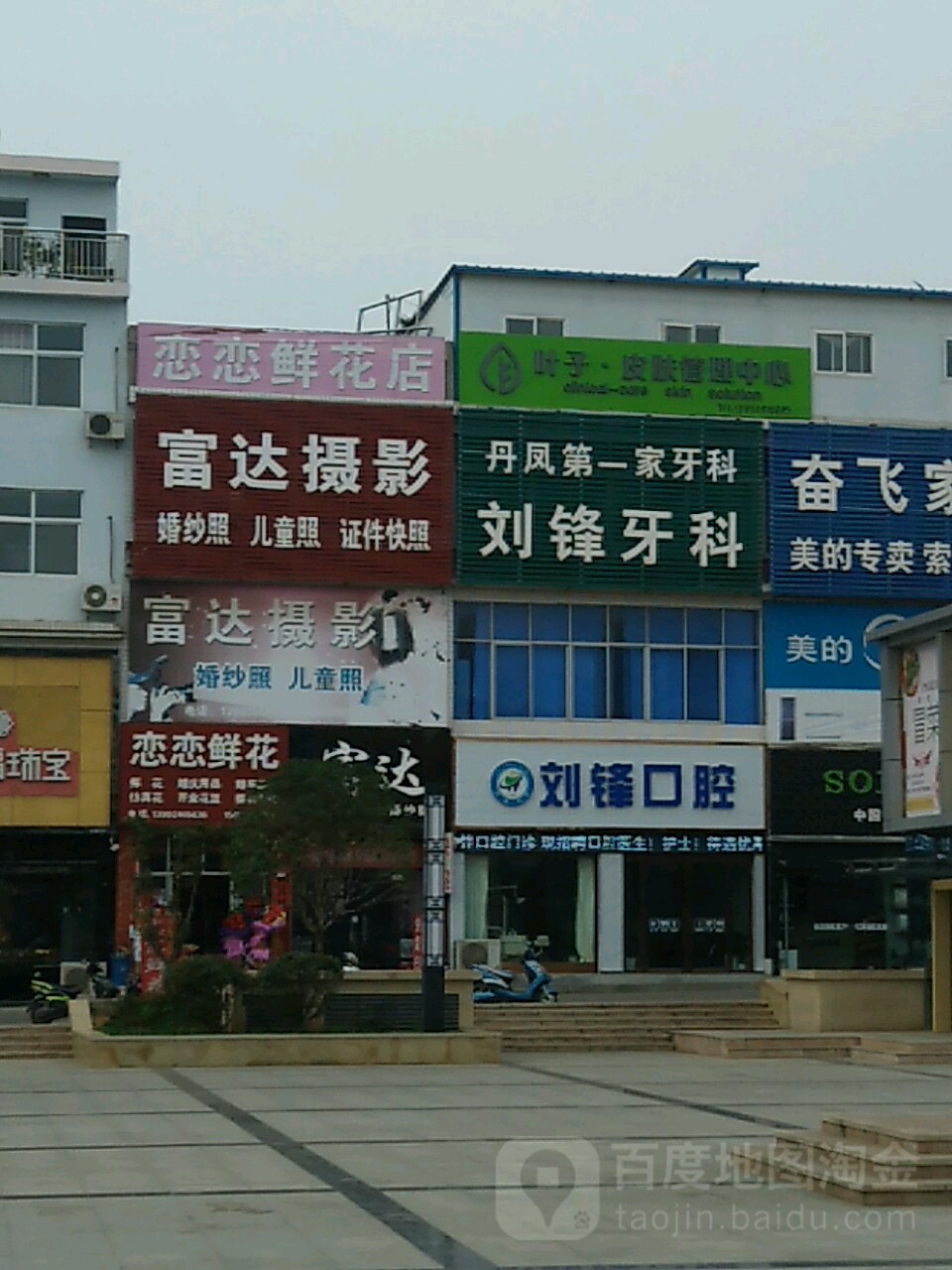 恋恋鲜花