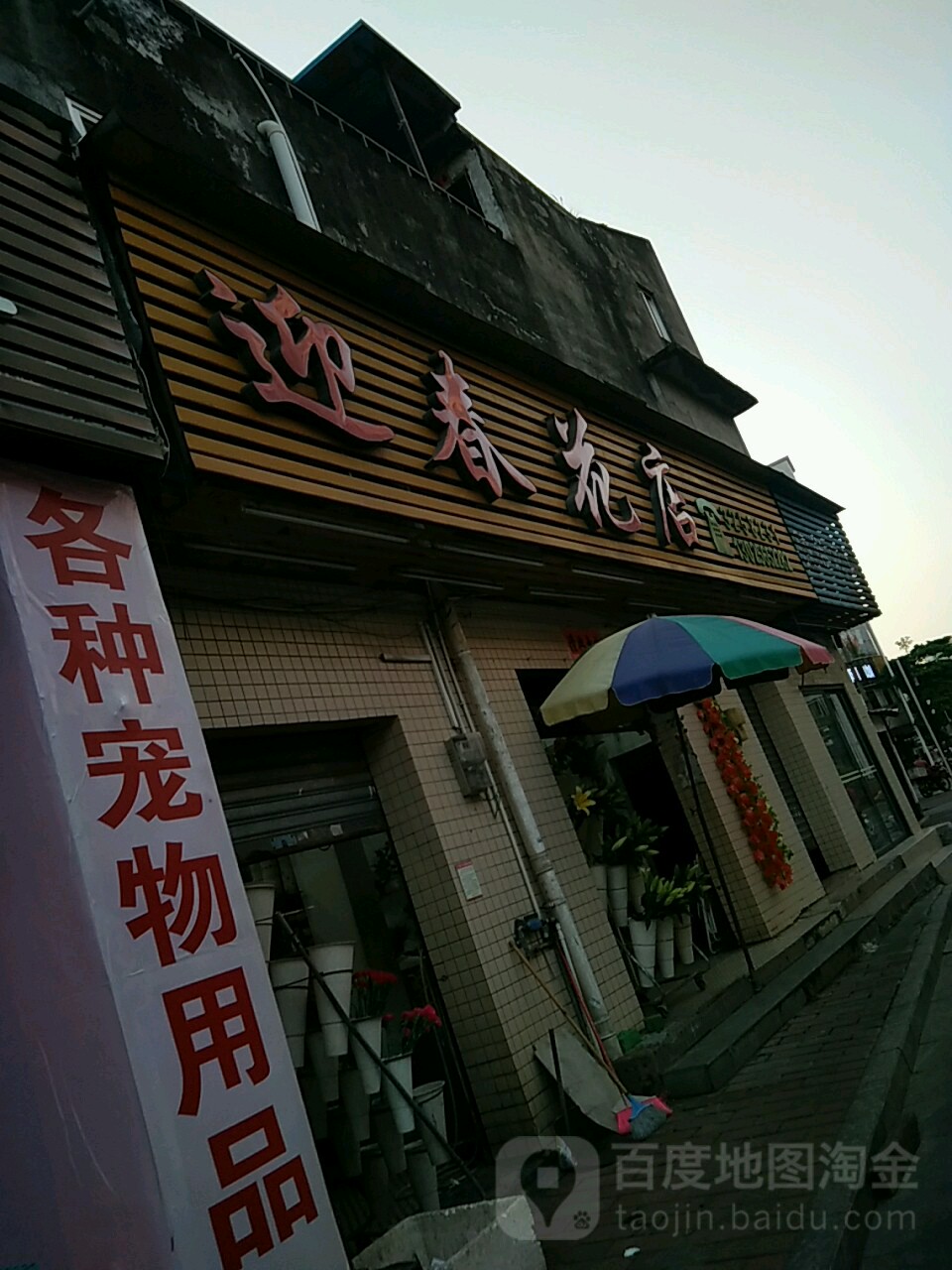 迎春花店(东门路店)