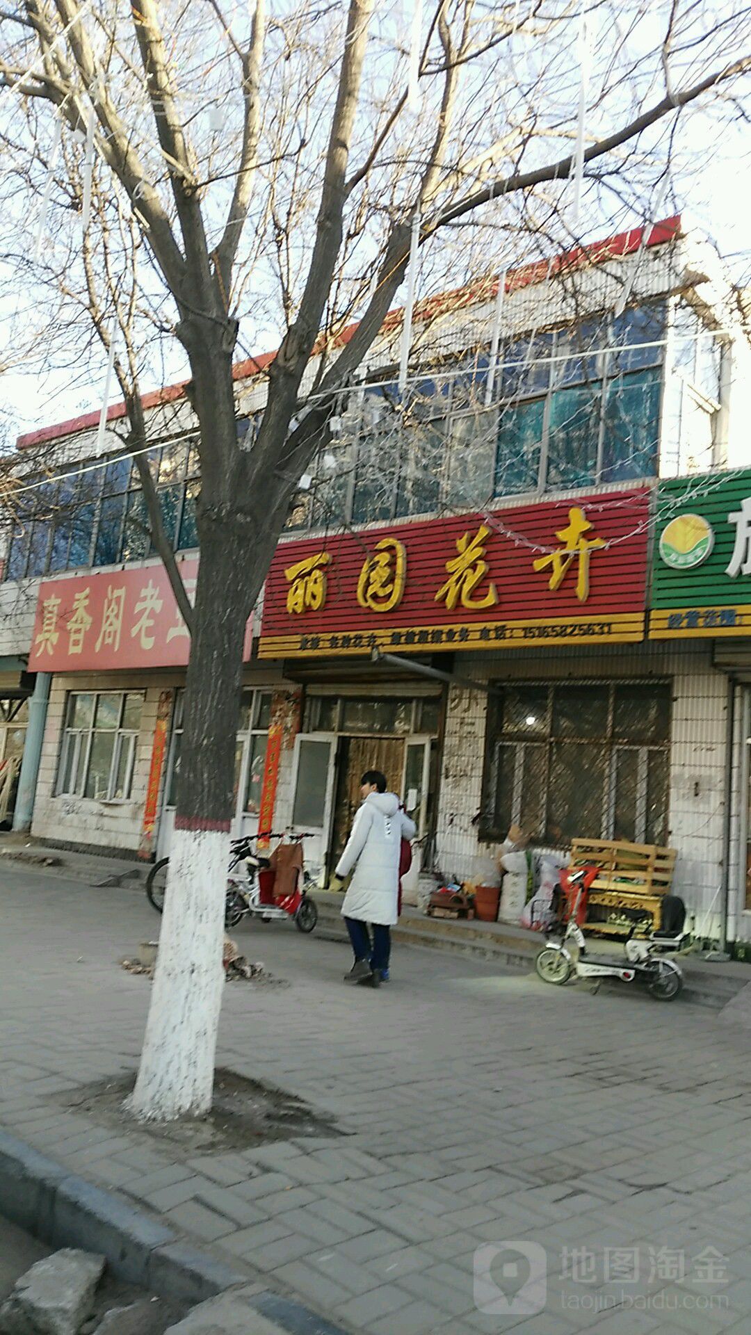 丽园花卉