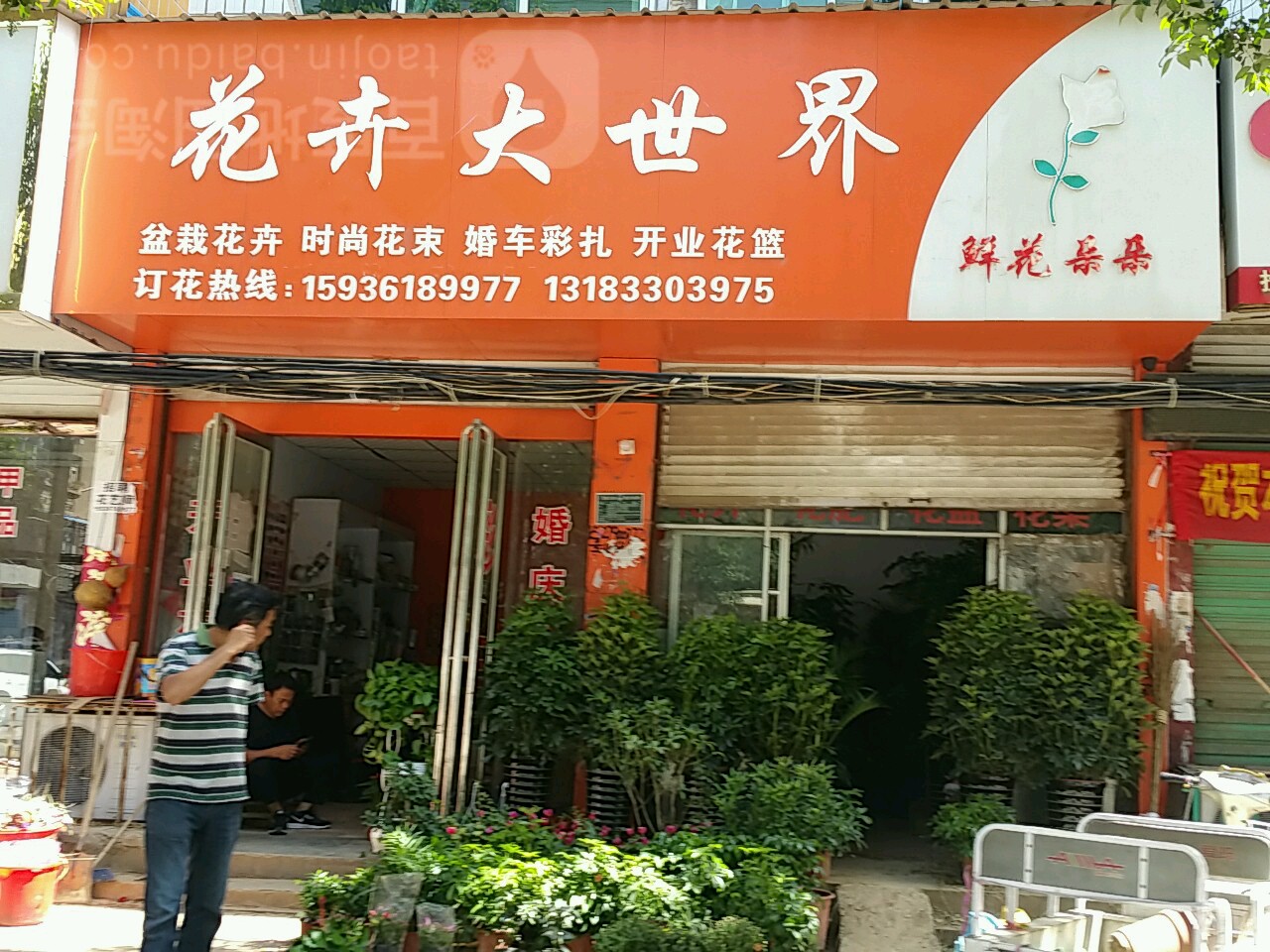 花卉大世界(新华路店)