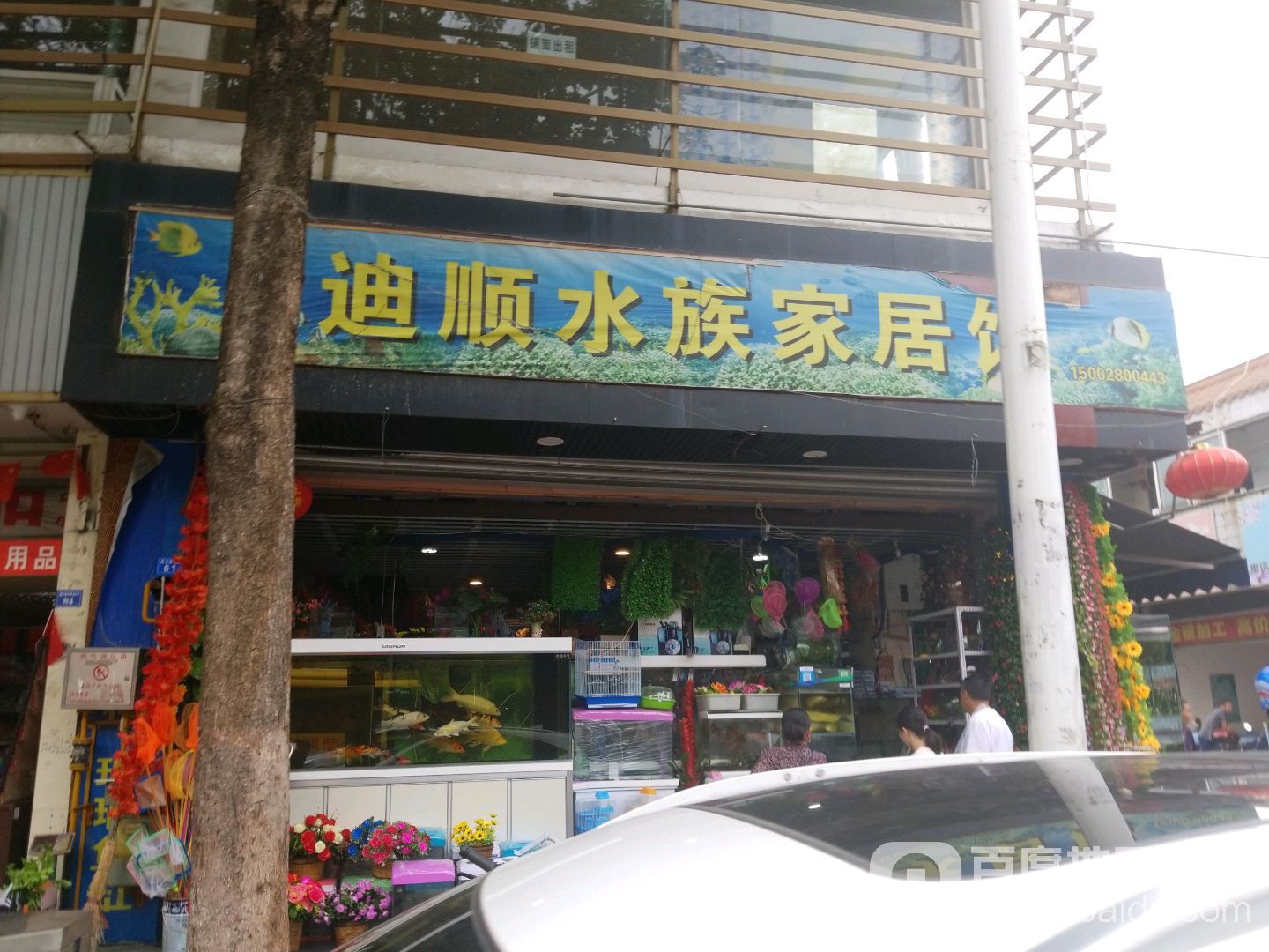 迪顺水族家居馆