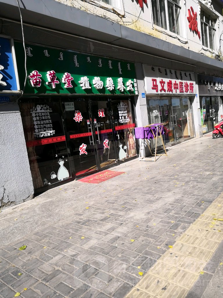 草苗堂植物染养发(达拉特北路店)