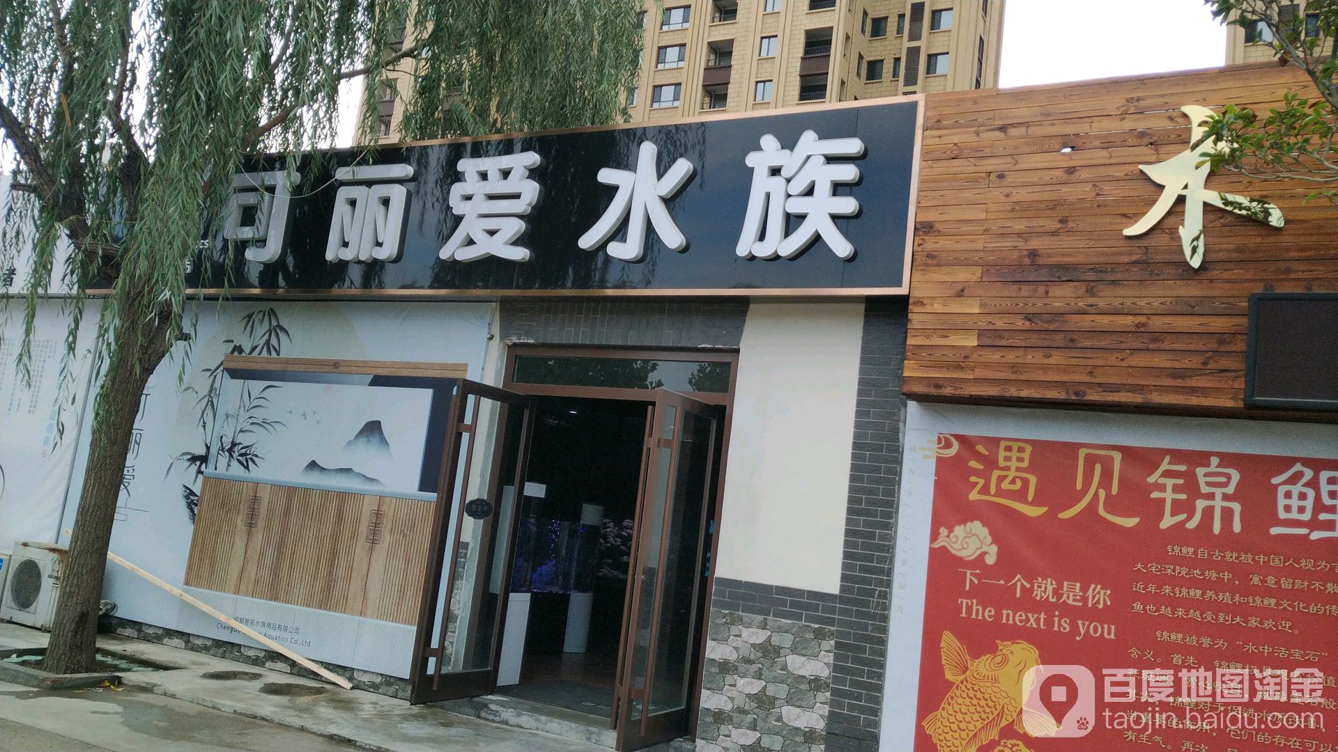 可丽爱水族(潍州路店)
