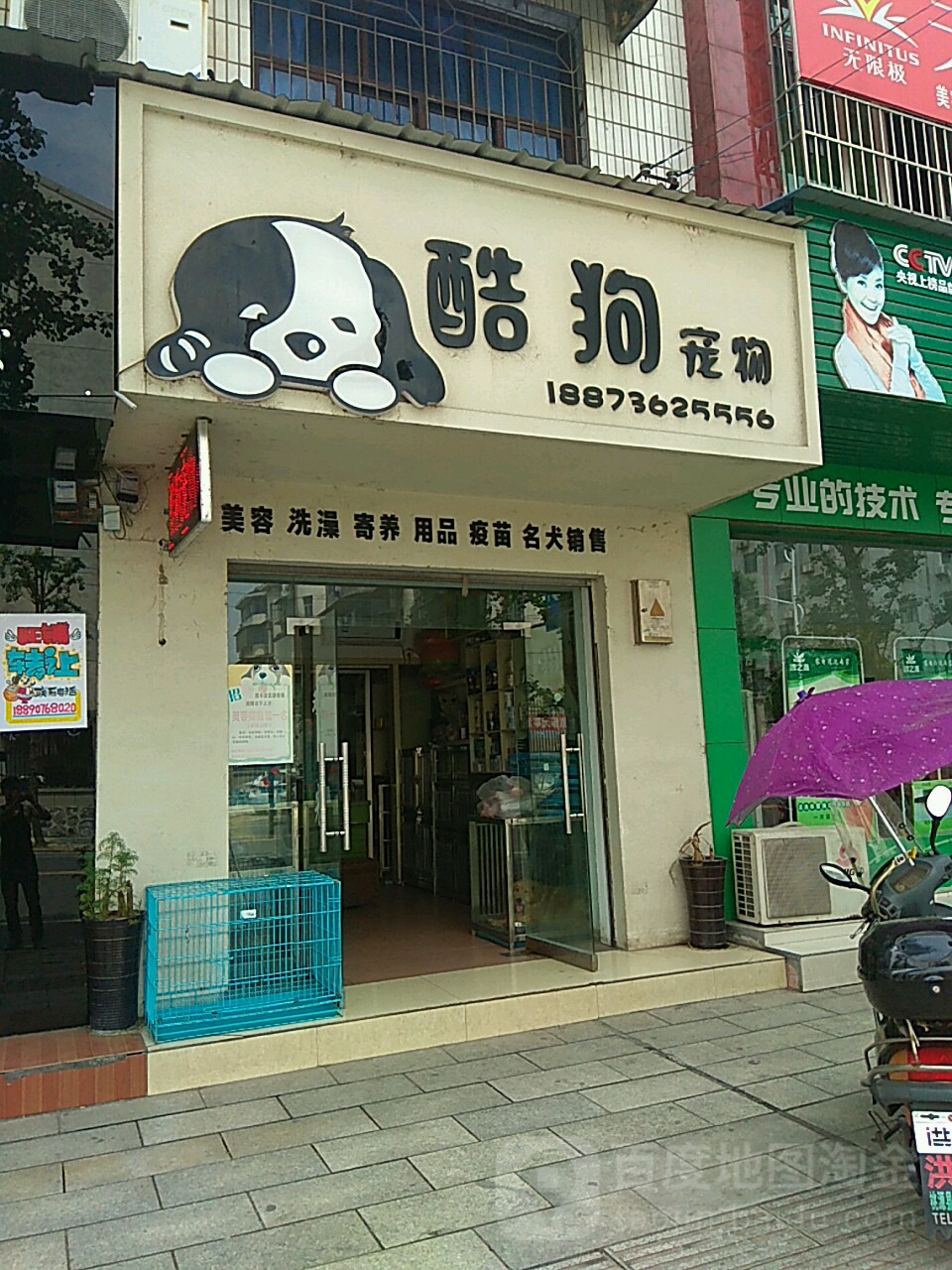 酷狗宠物(伯赞路店)