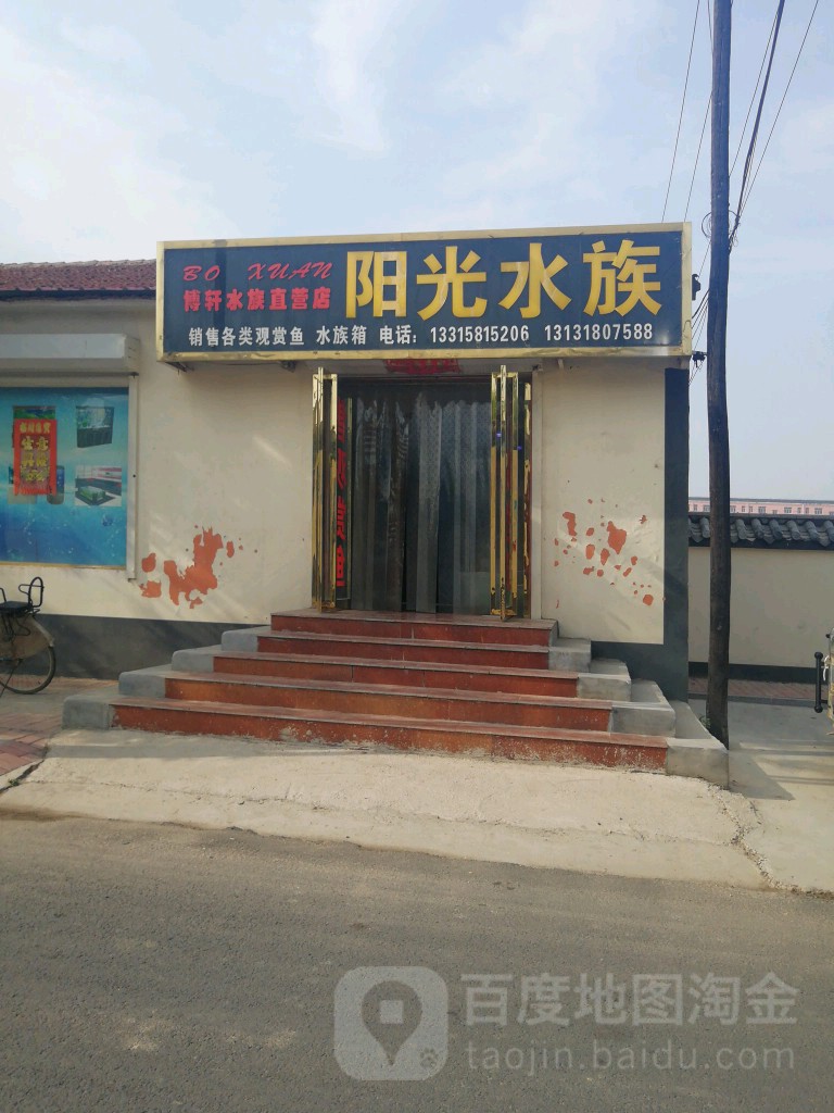 阳光海族(博轩水族直营店)