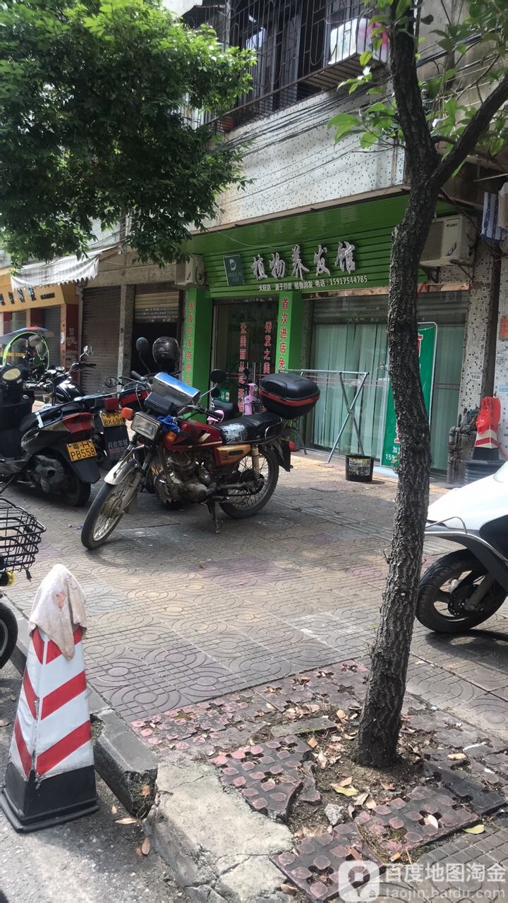 植物养发管(大旺店)