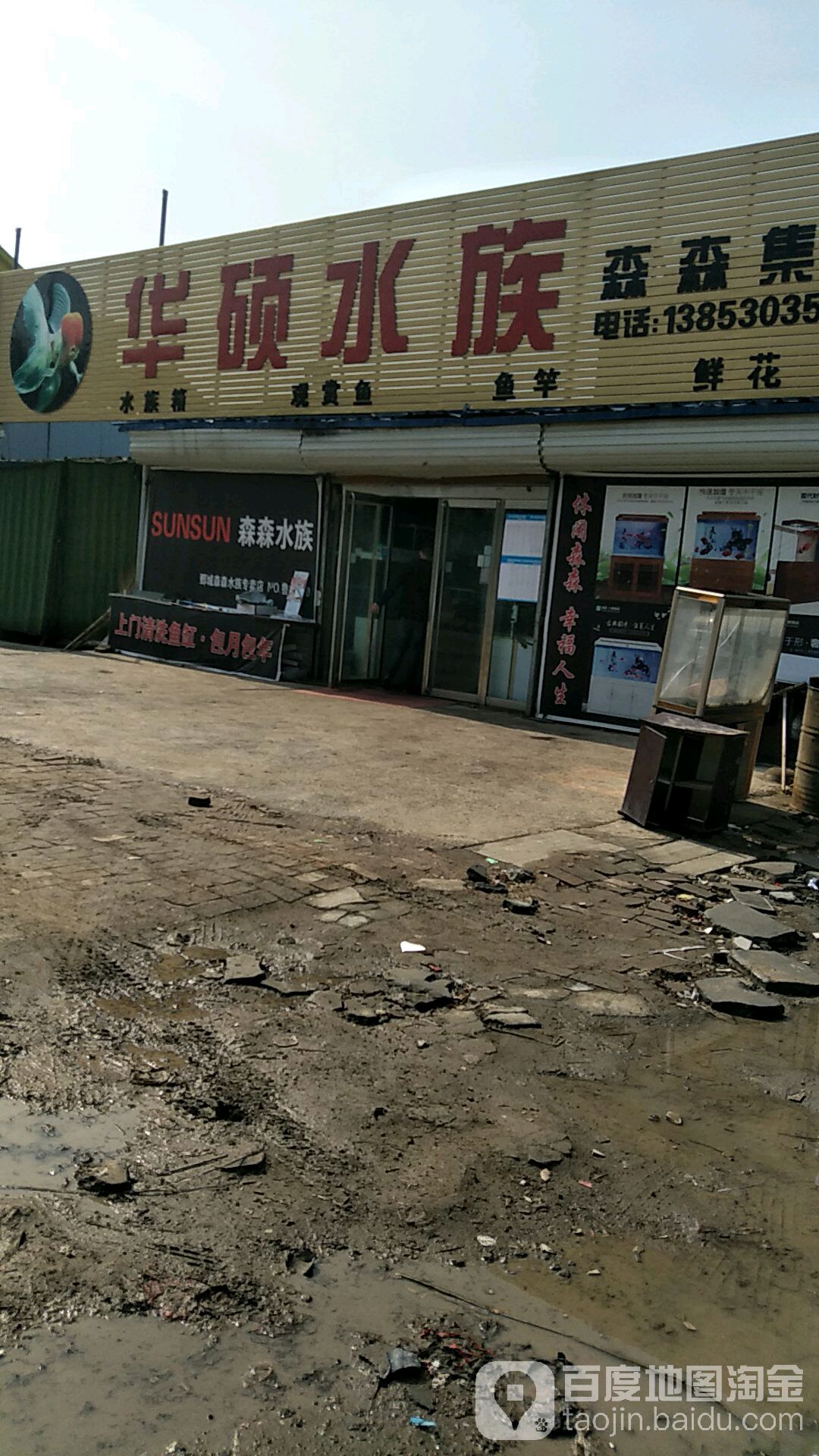 华硕。水族