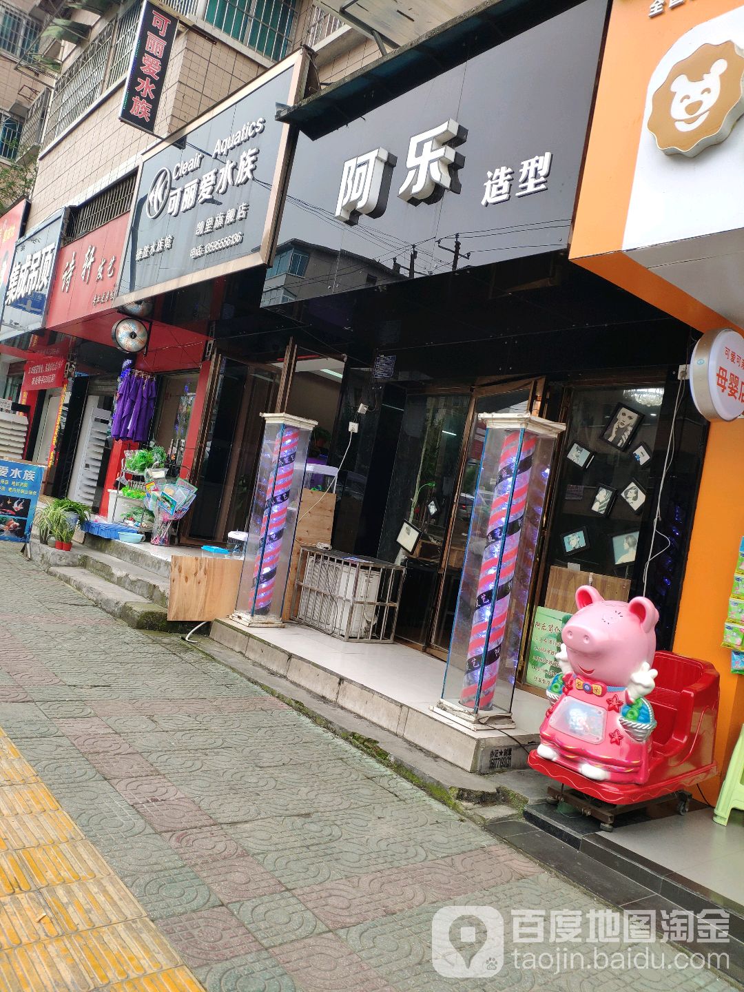 可丽爱水族(凯里旗舰店)