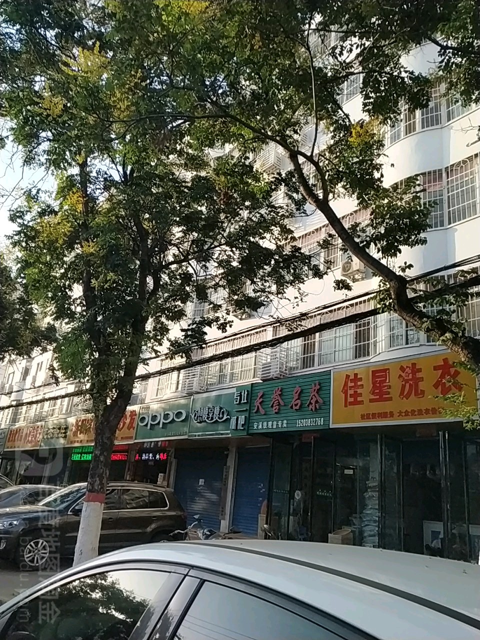 天誉名茶(河南南阳店)