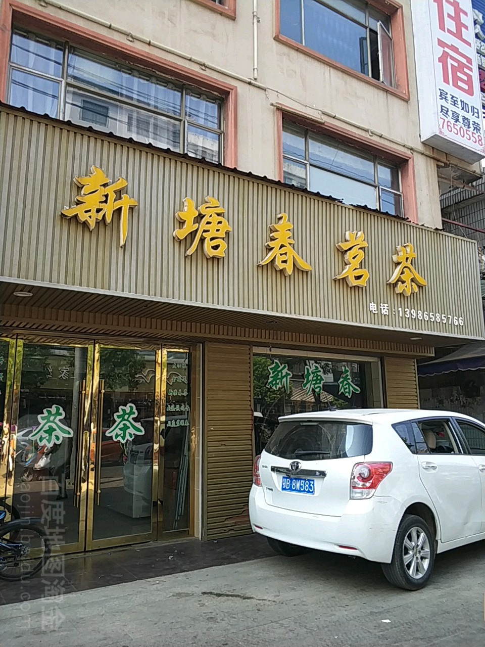 新塘春茗茶