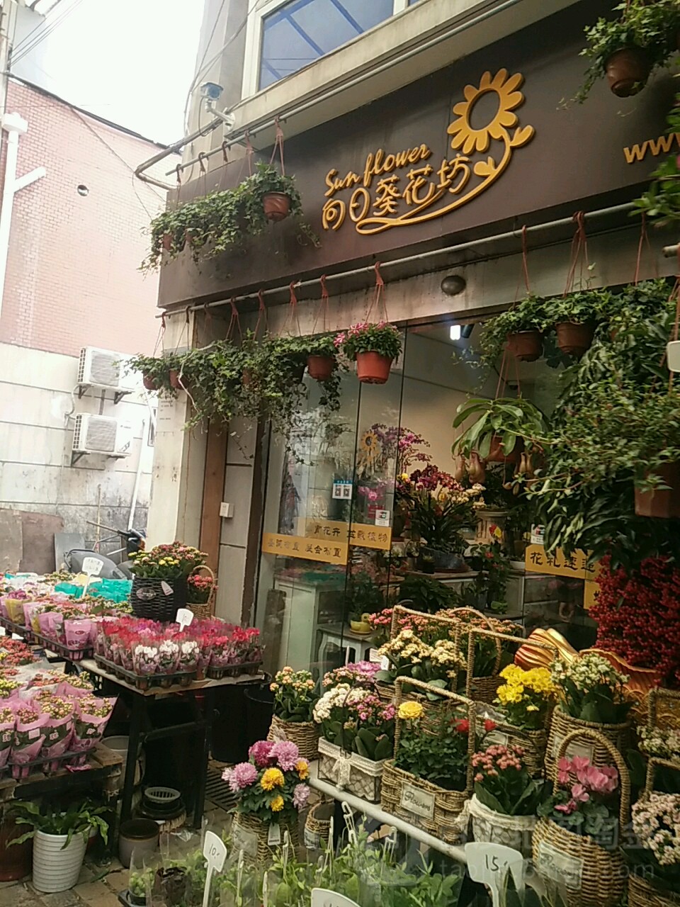 上海向日葵花坊(灵石路店)