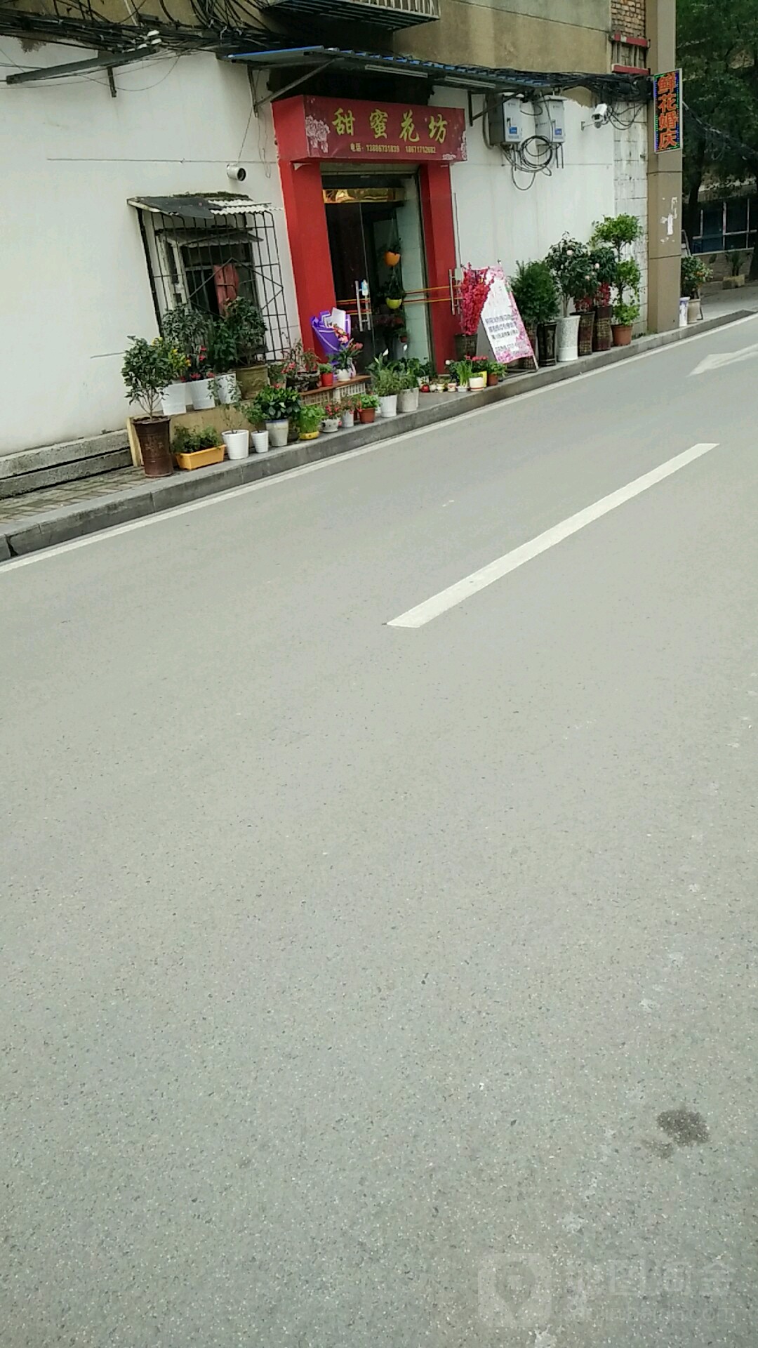 甜蜜花坊(北门外正街店)