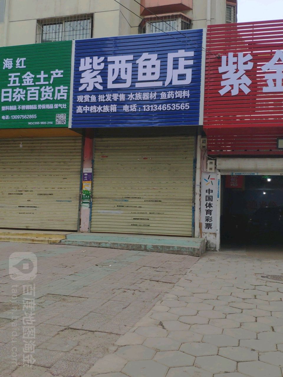 紫西鱼店