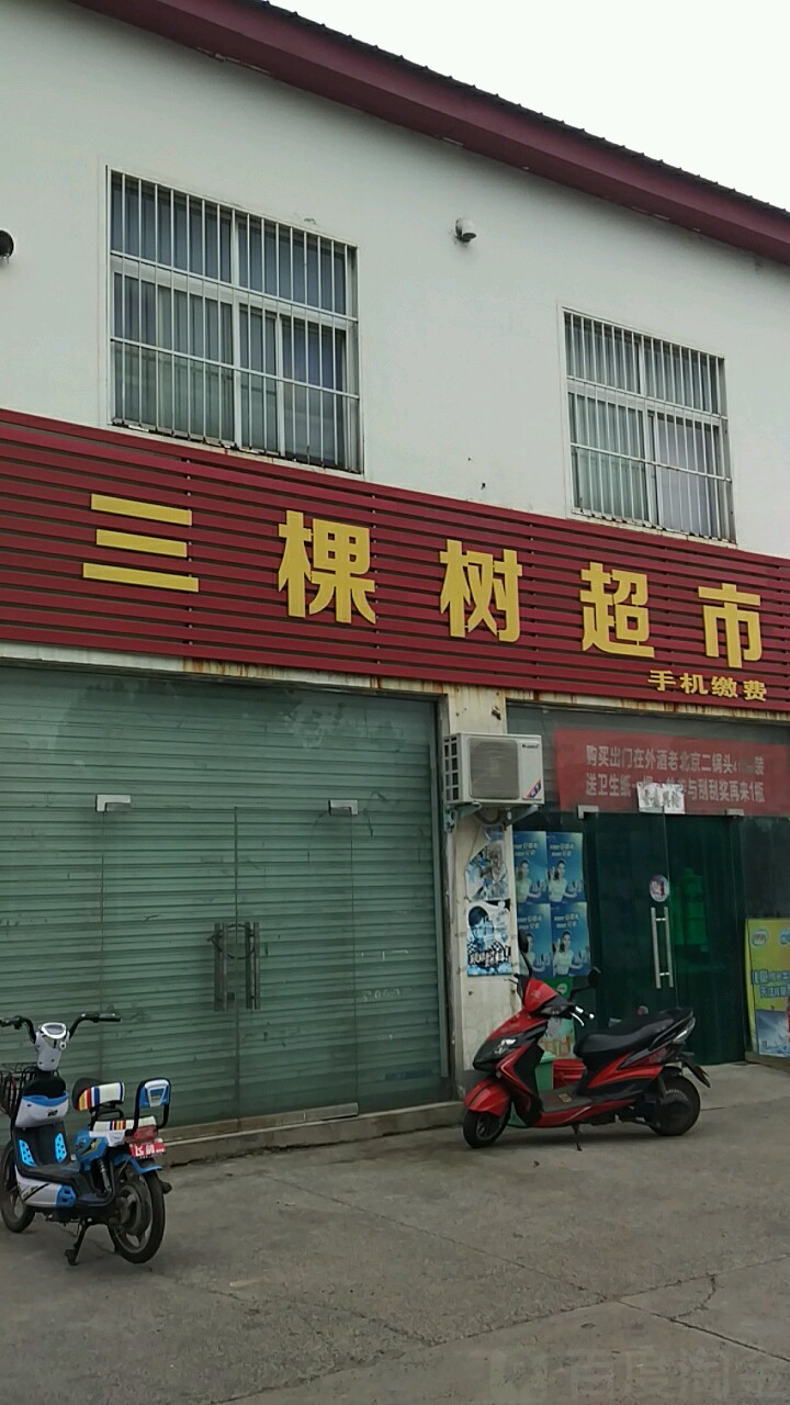 三棵树超市(西环路店)