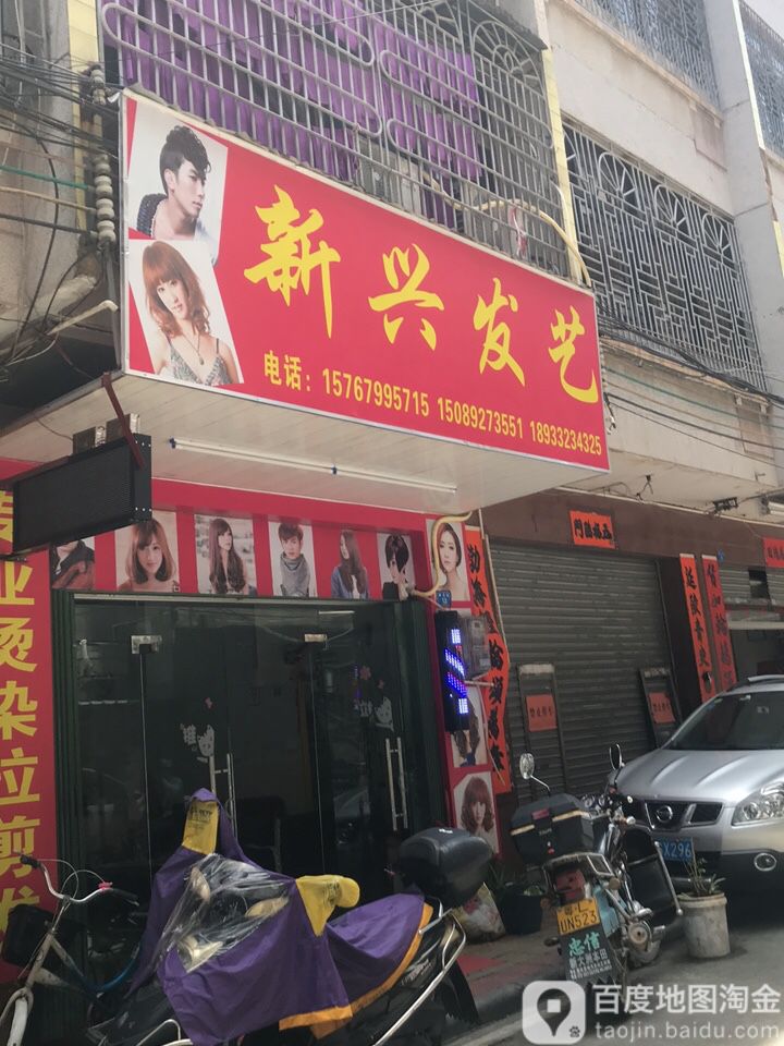 新兴发艺
