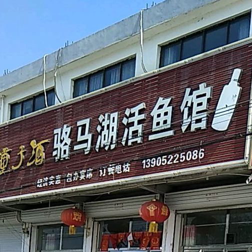 骆马湖活鱼馆