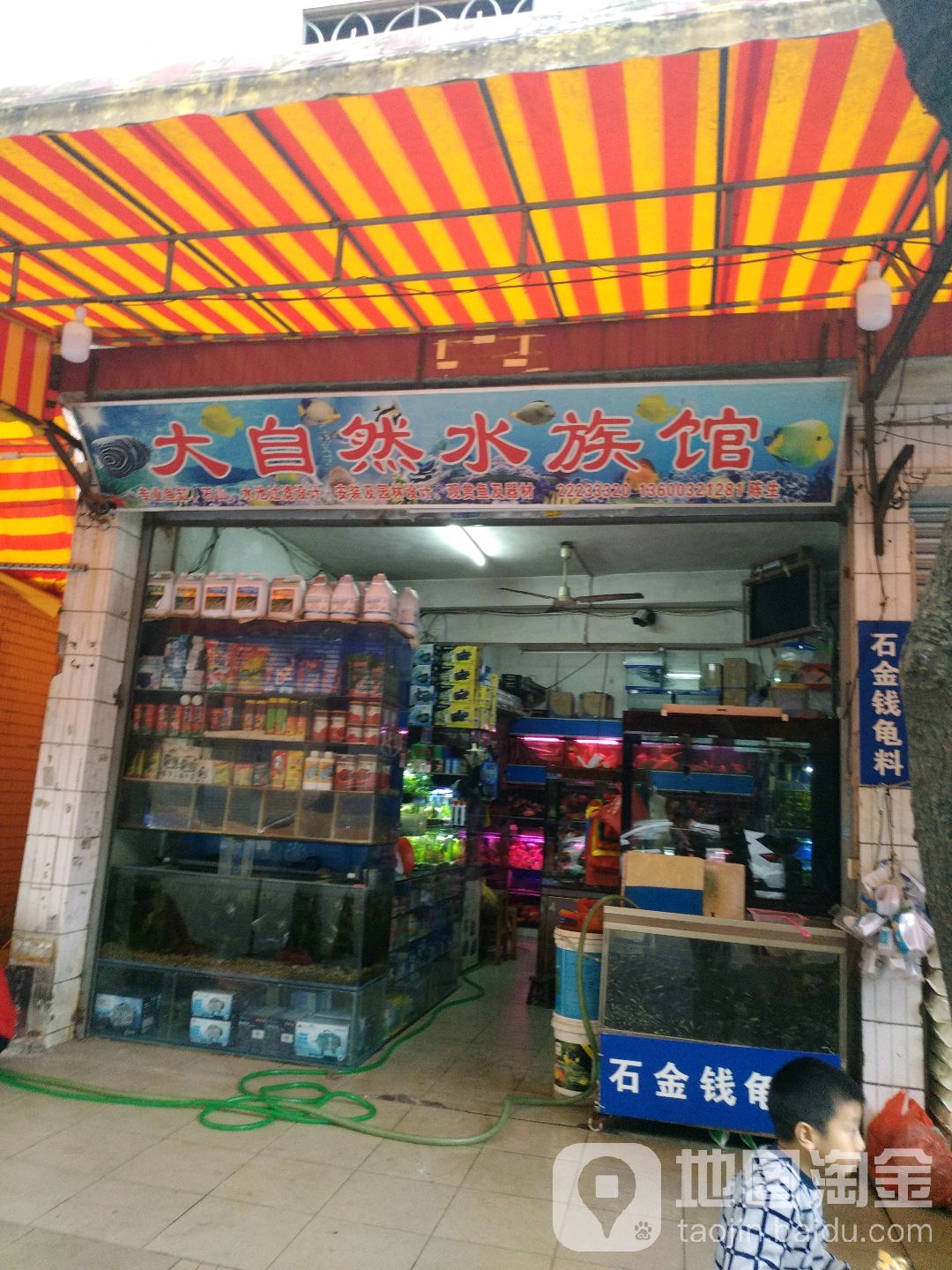 大自然水族馆(聚源街店)