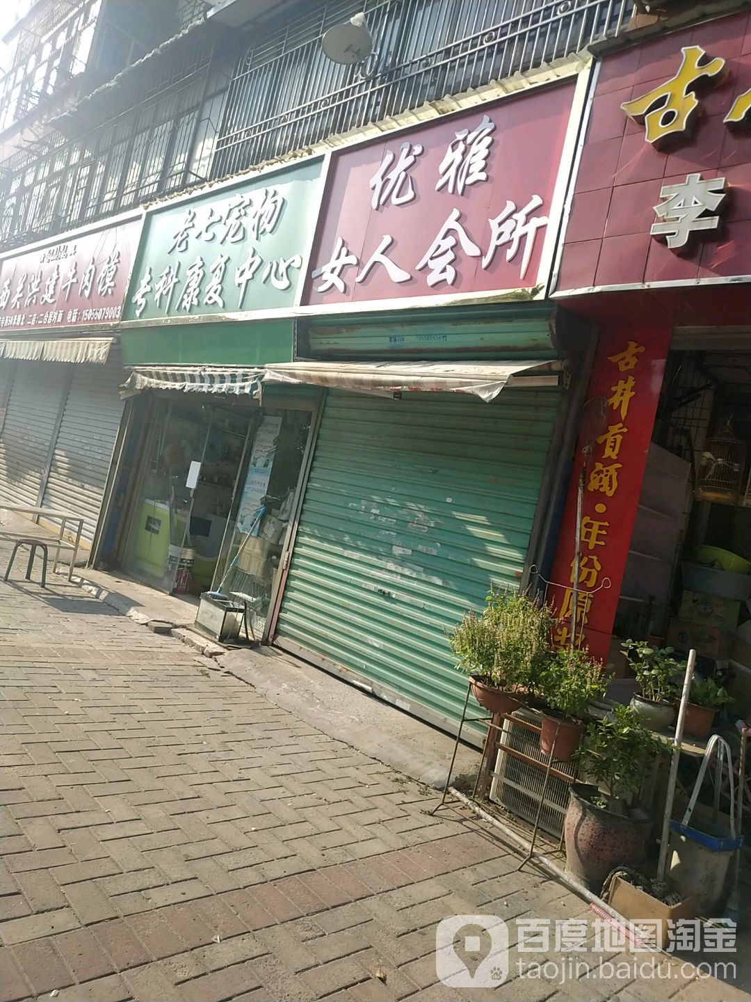 优雅女人会所