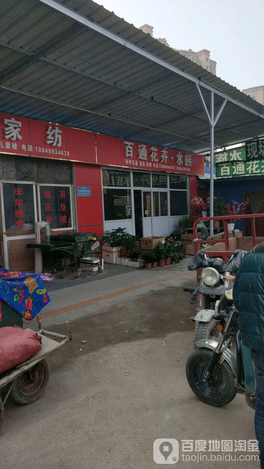 百通馨卉水族(百通民生市场店)